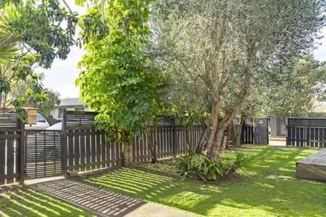 Photo of property in 6 Bain Street, Mount Maunganui, 3116