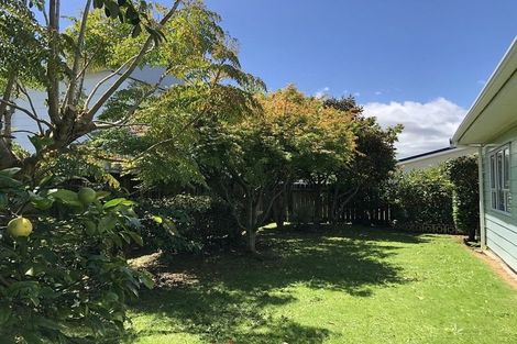 Photo of property in 38a Saint Annes Street, Levin, 5510