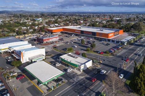 Photo of property in 1124 Cameron Road, Gate Pa, Tauranga, 3112