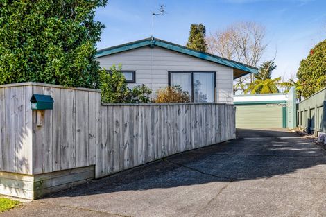 Photo of property in 27 Nikau Street, Inglewood, 4330