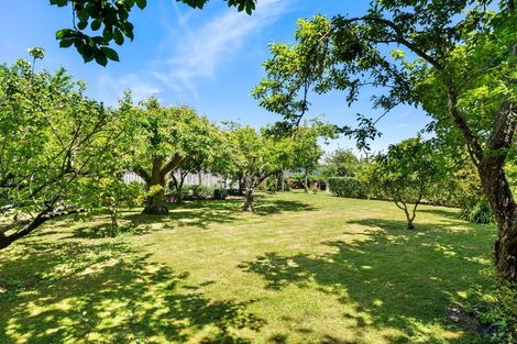 Photo of property in 5 Vivian Street, Inner Kaiti, Gisborne, 4010