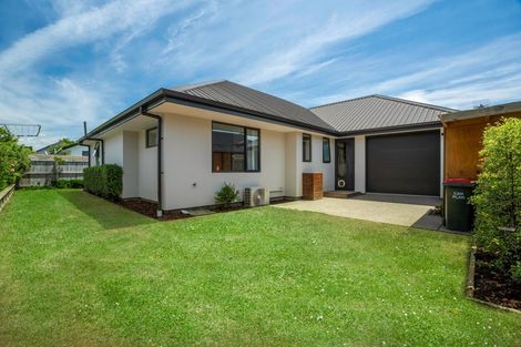 Photo of property in 15 Paton Road, Richmond, 7020