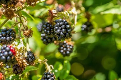 Photo of property in 46 Pekanga Road, Normandale, Lower Hutt, 5010