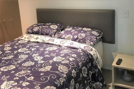 Photo of property in Forte Apartments, 54/13 College Street, Te Aro, Wellington, 6011