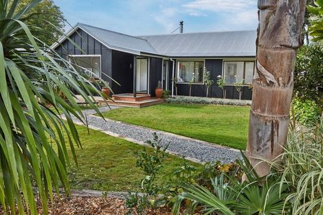 Photo of property in 14 Kuku Street, Te Awanga, 4102