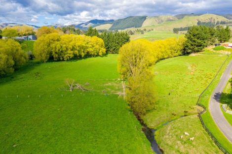 Photo of property in 9 Buckley Road, Shannon, Palmerston North, 4474