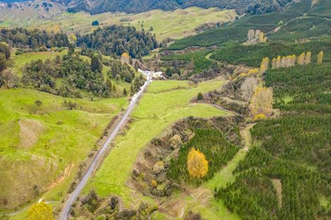 Photo of property in 424 Tapuiwahine Road, Otangiwai, Ongarue, 3997