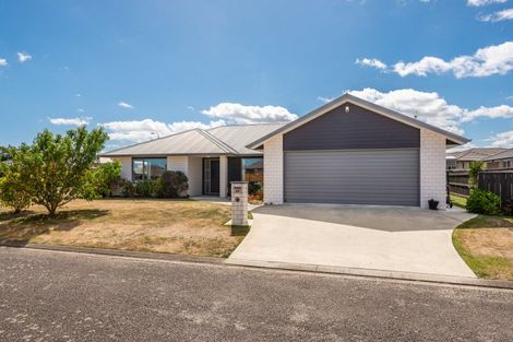 Photo of property in 24 Barry Curtis Place, Levin, 5510