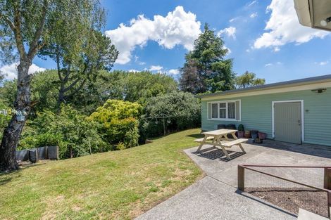 Photo of property in 93 Fitzroy Avenue, Fitzroy, Hamilton, 3206