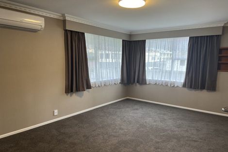 Photo of property in 10 Johnson Street, Dinsdale, Hamilton, 3204