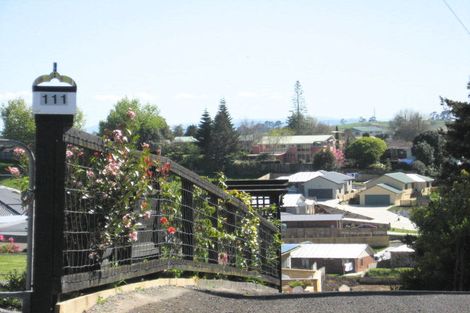 Photo of property in 111 Kimihia Road, Huntly, 3700