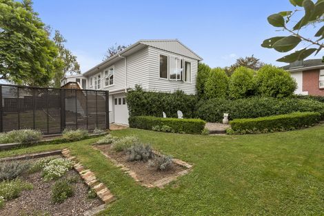 Photo of property in 85 Moore Street, Leamington, Cambridge, 3432