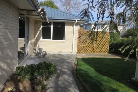 Photo of property in 11a Campbell Street, Maori Hill, Timaru, 7910