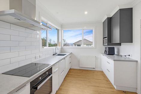 Photo of property in 22 Thistle Street, Gore, 9710