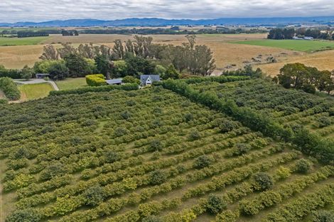 Photo of property in 120 Summerleaze Road, Pareora West, Timaru, 7971