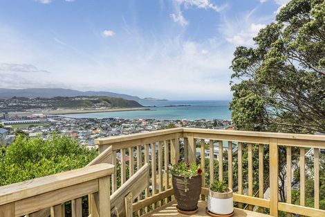 Photo of property in 59 Buckingham Street, Melrose, Wellington, 6023