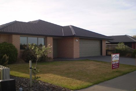 Photo of property in 47 Rolleston Drive, Rolleston, 7614