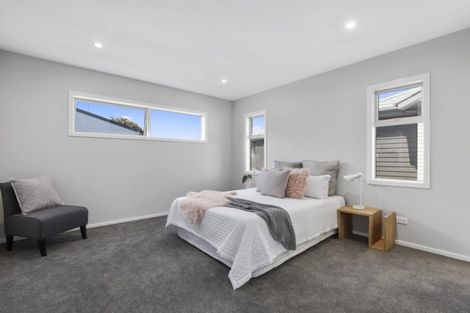 Photo of property in 99a Seddon Road, Frankton, Hamilton, 3204