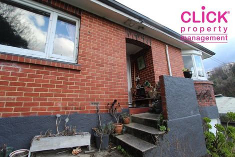 Photo of property in 125 Maclaggan Street, Dunedin Central, Dunedin, 9016