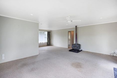 Photo of property in 91 Michael Street, Rakaia, 7710