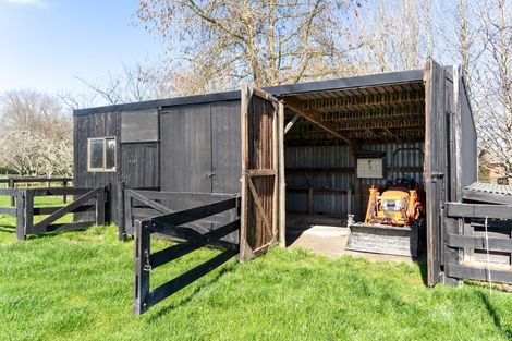 Photo of property in 43 Forrest Road, Cambridge, 3493