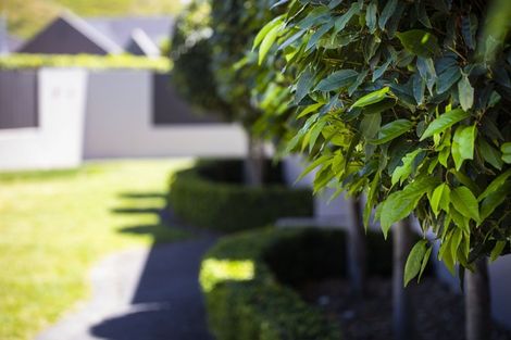 Photo of property in 9 Pinotage Drive, Greenmeadows, Napier, 4112