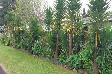 Photo of property in 25 Hongi Street, Kaikohe, 0405