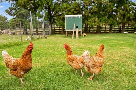 Photo of property in 499 Whatitiri Road, Poroti, Whangarei, 0179