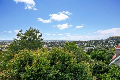 Photo of property in 41 Landscape Road, Mount Eden, Auckland, 1024