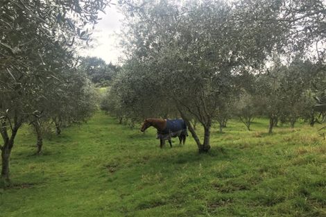 Photo of property in 4560 Pouto Road, Pouto, Te Kopuru, 0391