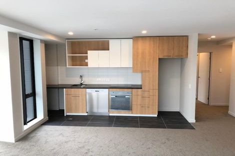 Photo of property in Vsp South, 1101/168 Victoria Street, Te Aro, Wellington, 6011