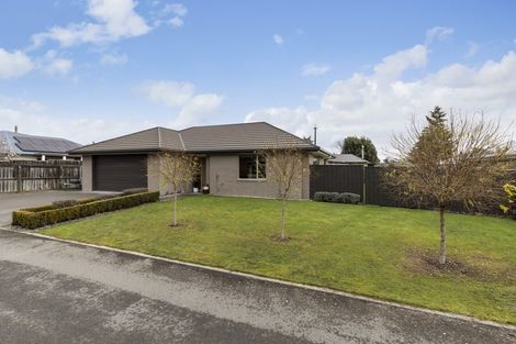 Photo of property in 7 Payne Place, Witherlea, Blenheim, 7201