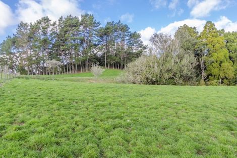 Photo of property in 46 Harry Dreadon Road, Opaheke, Papakura, 2584