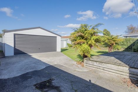 Photo of property in 29 Mabel Street, Levin, 5510