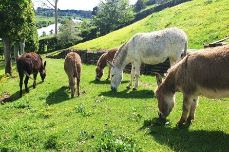Photo of property in 3 Kelston Way, Tauriko, Tauranga, 3110