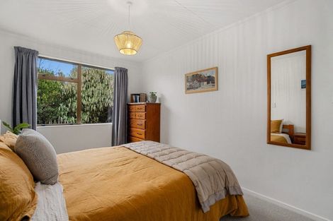 Photo of property in 48 Antimony Crescent, Cromwell, 9310