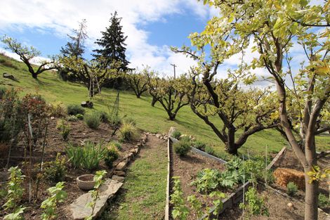 Photo of property in 2 Hazlett Street, Clyde, 9330