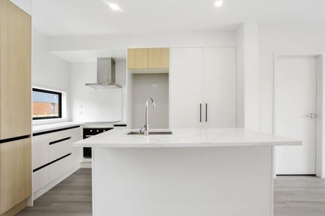 Photo of property in 14 Clay Works Lane, New Lynn, 0600