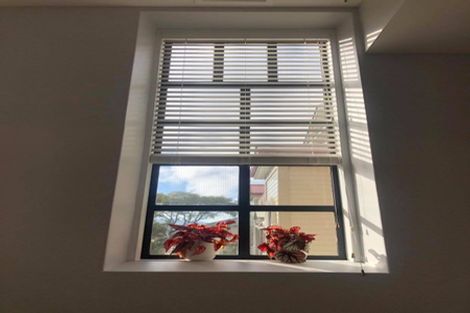 Photo of property in 6/245 Adelaide Road, Newtown, Wellington, 6021