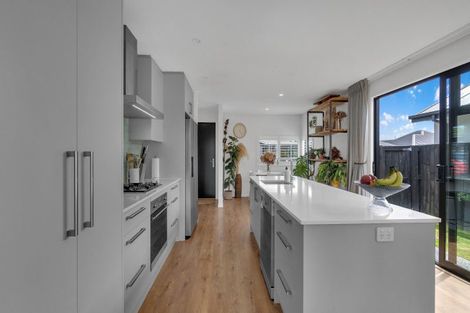 Photo of property in 11 John Raven Lane, Woodend, 7610