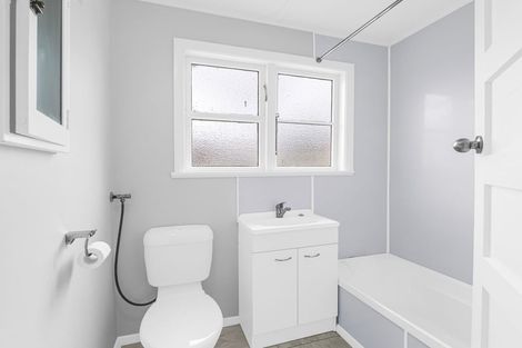 Photo of property in 17 Ngarimu Street, Roslyn, Palmerston North, 4414