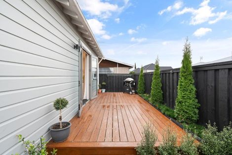 Photo of property in 31 Forfar Street, Clyde Hill, Dunedin, 9011