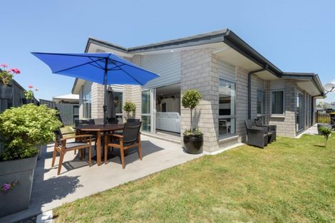 Photo of property in 17 Saddlers Way, Papamoa, 3118