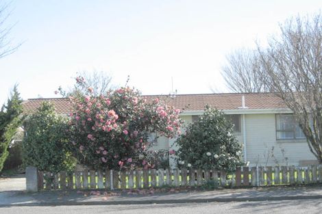 Photo of property in 20 Reading Street, Greytown, 5712