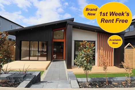 Photo of property in 236 Park Estate Road, Rosehill, Papakura, 2113