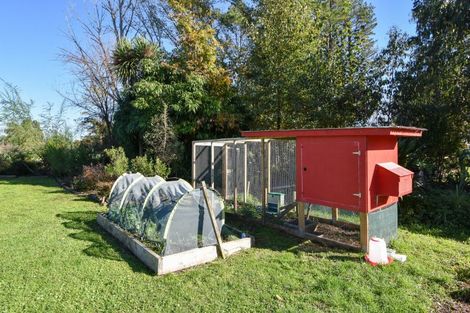 Photo of property in 55 Costley Street, Carterton, 5713