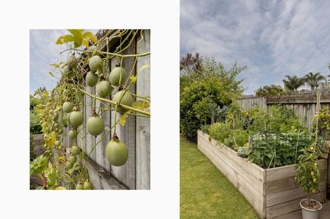 Photo of property in 24 Hawkridge Heights, Bethlehem, Tauranga, 3110