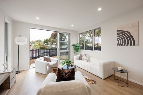 Photo of property in 18 Patrick Place, Fitzroy, Hamilton, 3206