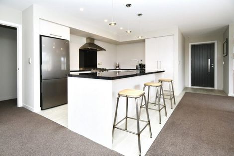 Photo of property in 12 Bonecrusher Street, Lincoln, 7608