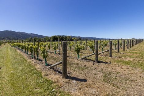 Photo of property in 90 Jeffries Road, Rapaura, Blenheim, 7273